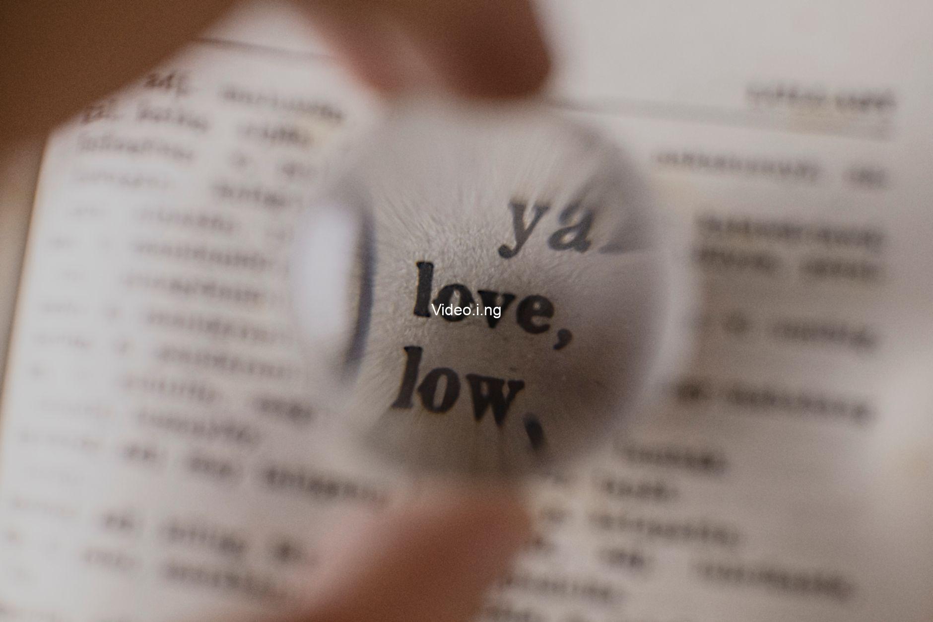Words Are Also Filters: Marjane Satrapi (1969 2026)