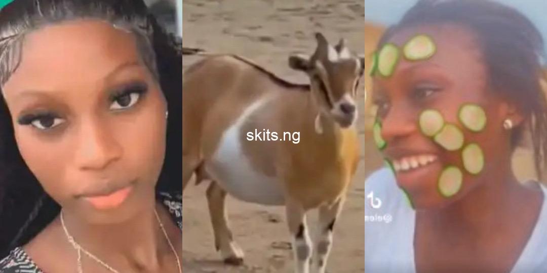 Lady shows how she chased landlord’s goat in public for eating her loaf of bread