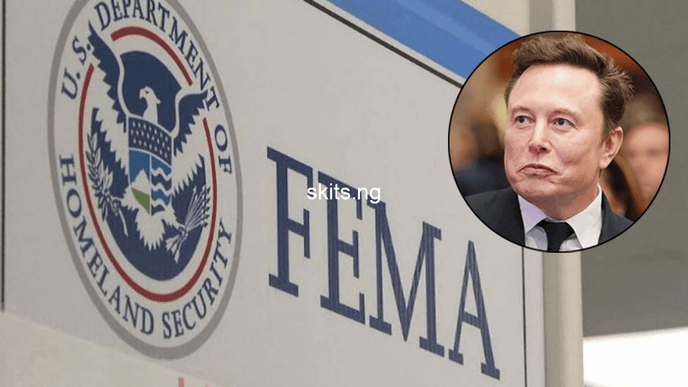 Musks team accuses fema of spending 59m to lodge migrants in luxury hotels