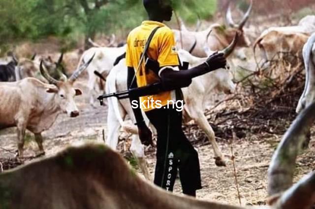 Suspected herders kill 2 in edo state