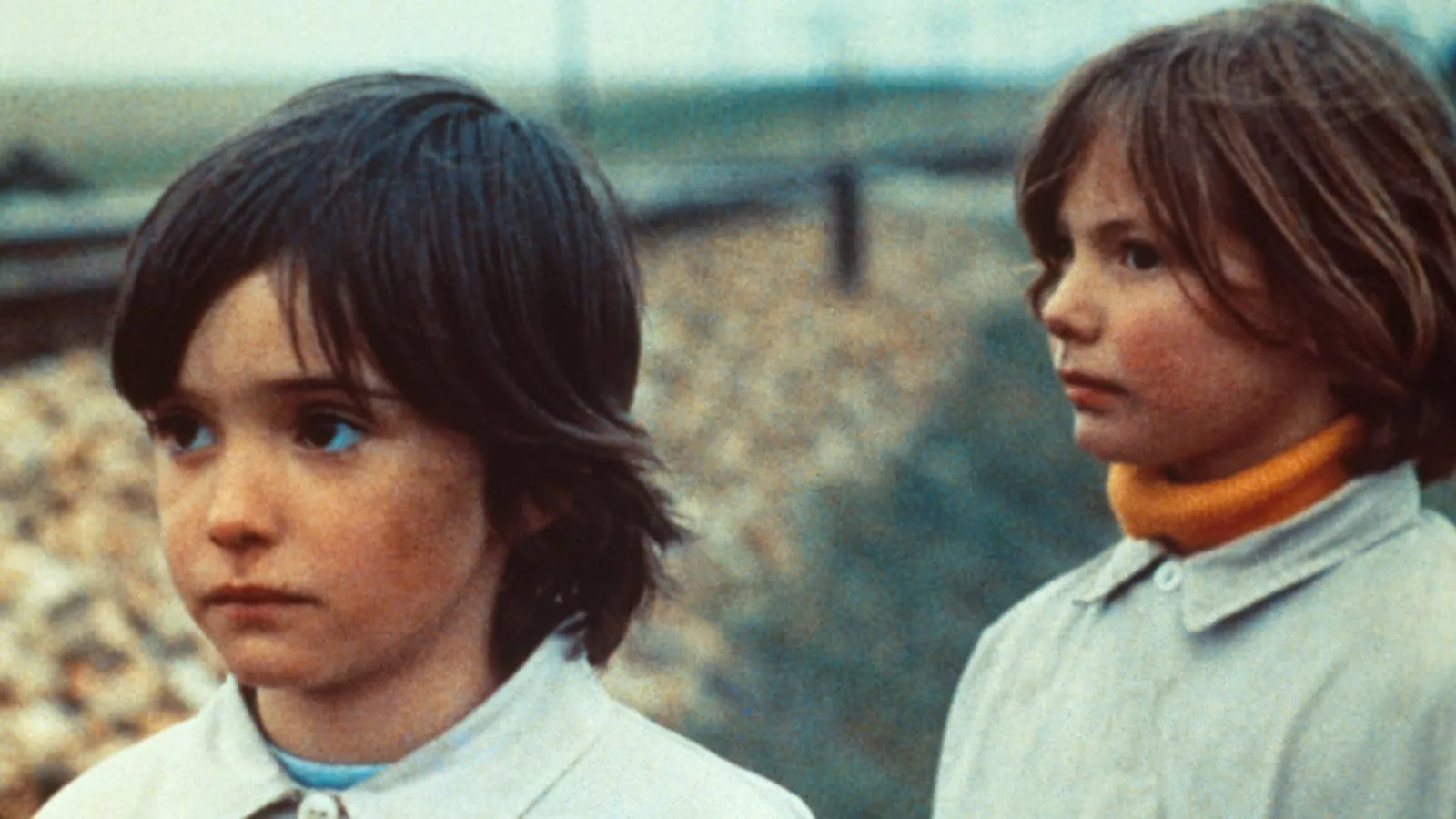 The Timeless Echoes of “The Spirit of the Beehive”