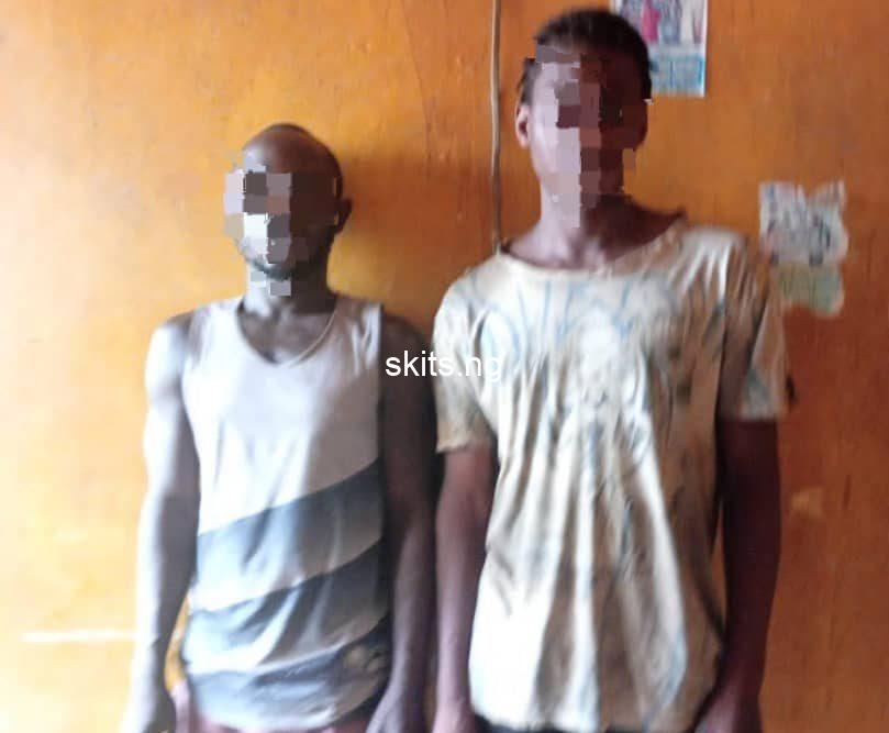 Two Arrested For Illegal Tree Cutting In Ogun Forest Reserve