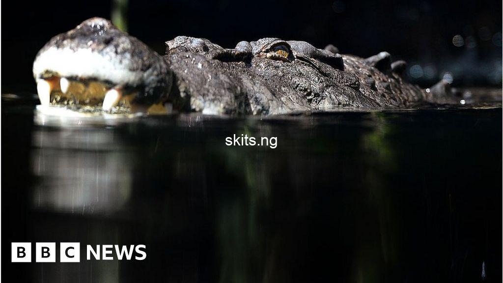 Crocodile drags woman to her death as friends tried to hold on to her before re emerging with womans body video
