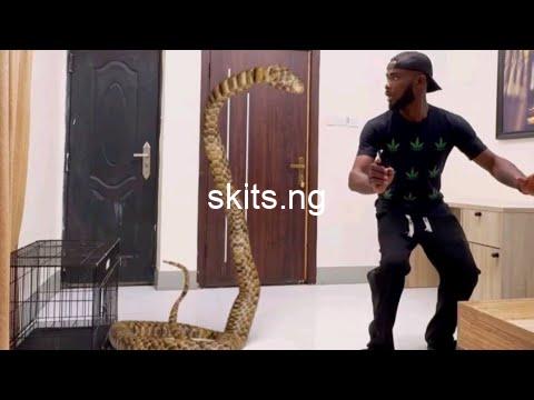 Download comedy video that friend training the wrong pet