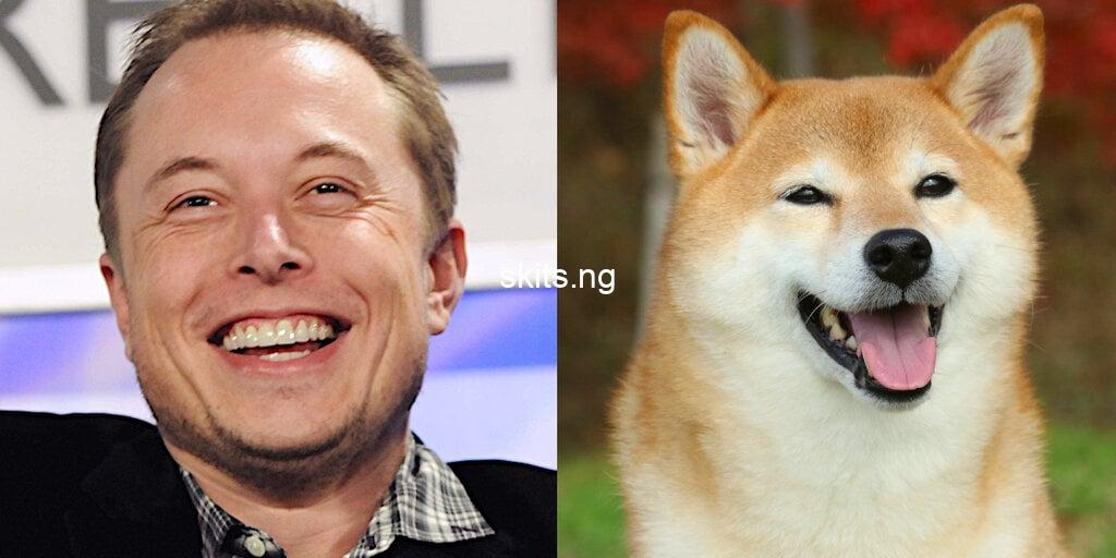 Elon Musk’s Plans For DOGE – The Real Story