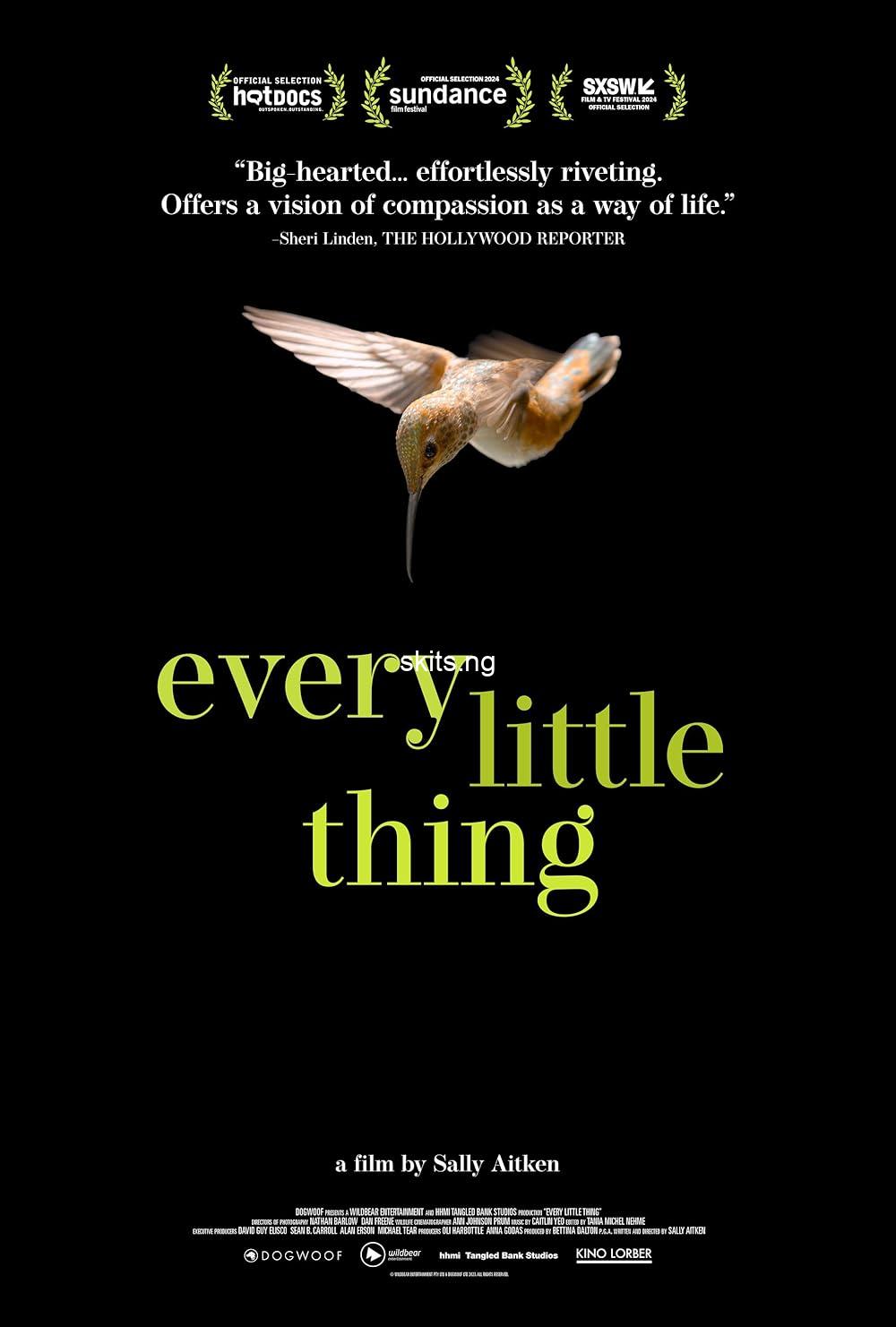 Every Little Thing (2024) MOVIE