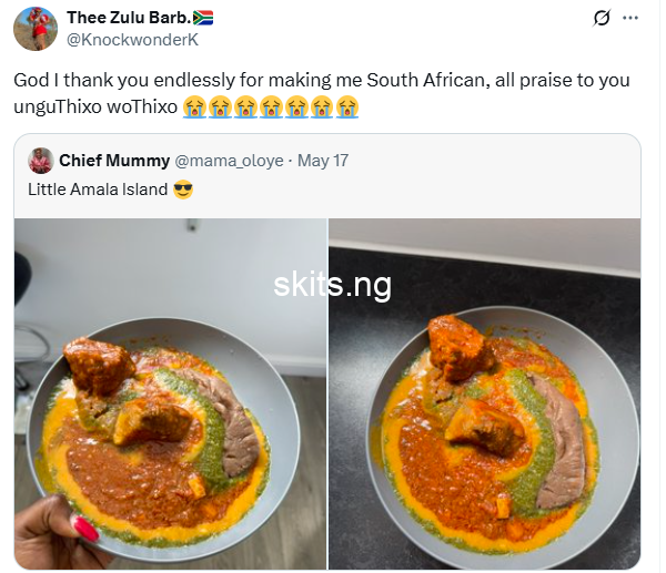 Woman expresses gratitude to god for making her a south african as she mocks ewedu and amala