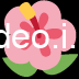 🌺