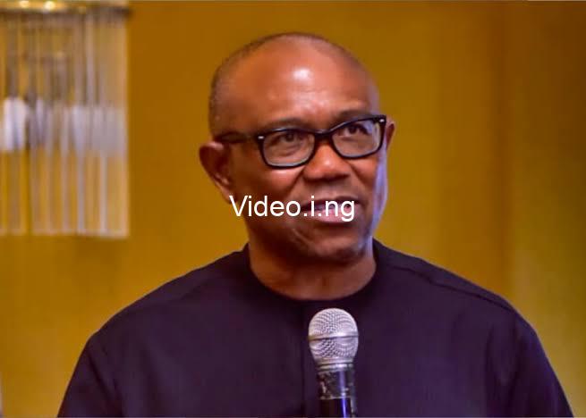 Peter obi has shallow knowledge of economy governance presidency