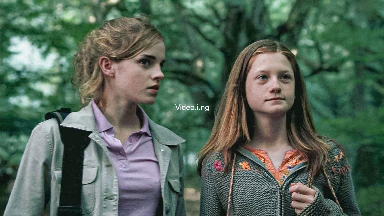 All harry potter female student characters ranked from least to most appealing