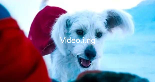 Superman new krypto dcu short movie sets streaming release date