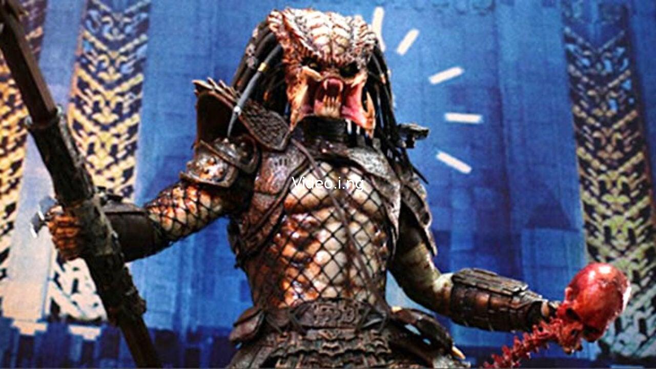 Best order to watch the predator movies updated october