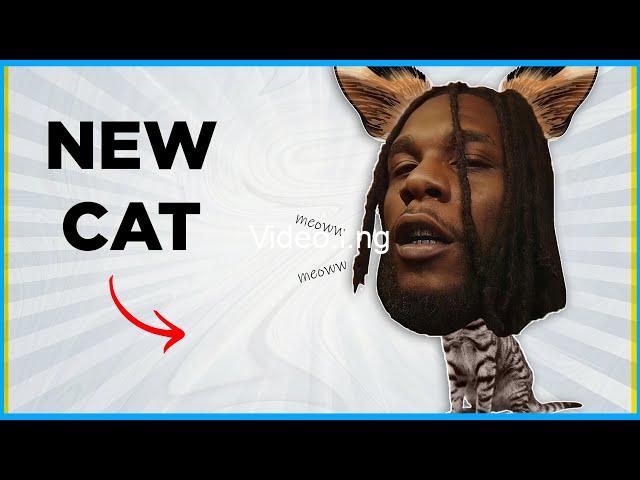 Burna boy n tems the new cats on the block photo goes viral on new ecommerce urban website