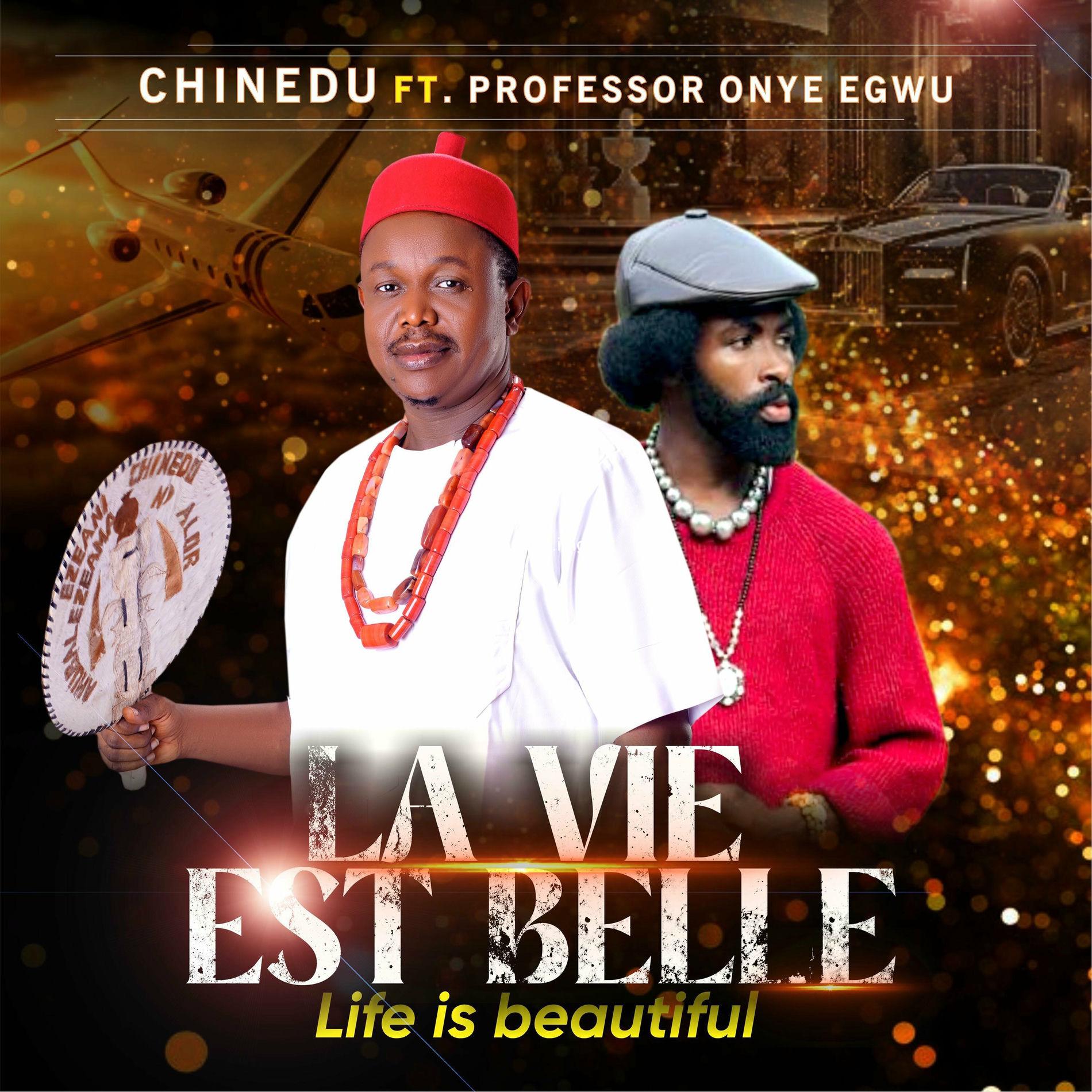Chinedu life is beautiful la vie est belle remix ft vera d professor onye egwu