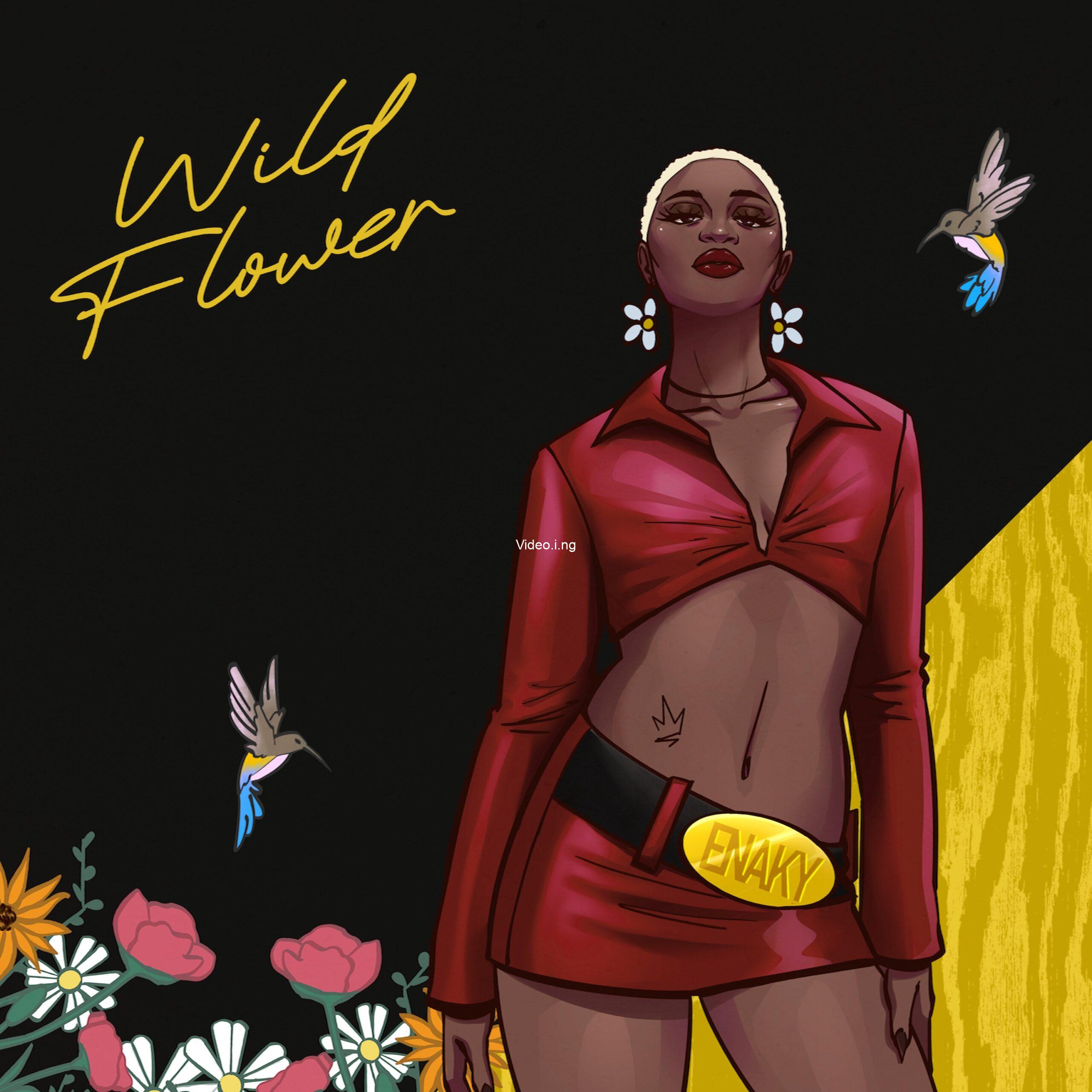 Enaky high vibration