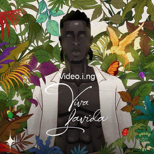 Album review joeboys viva lavida