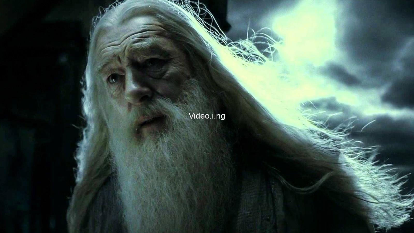 Harry potter 1 dumbledore theory so shocking it might prove he was death in disguise
