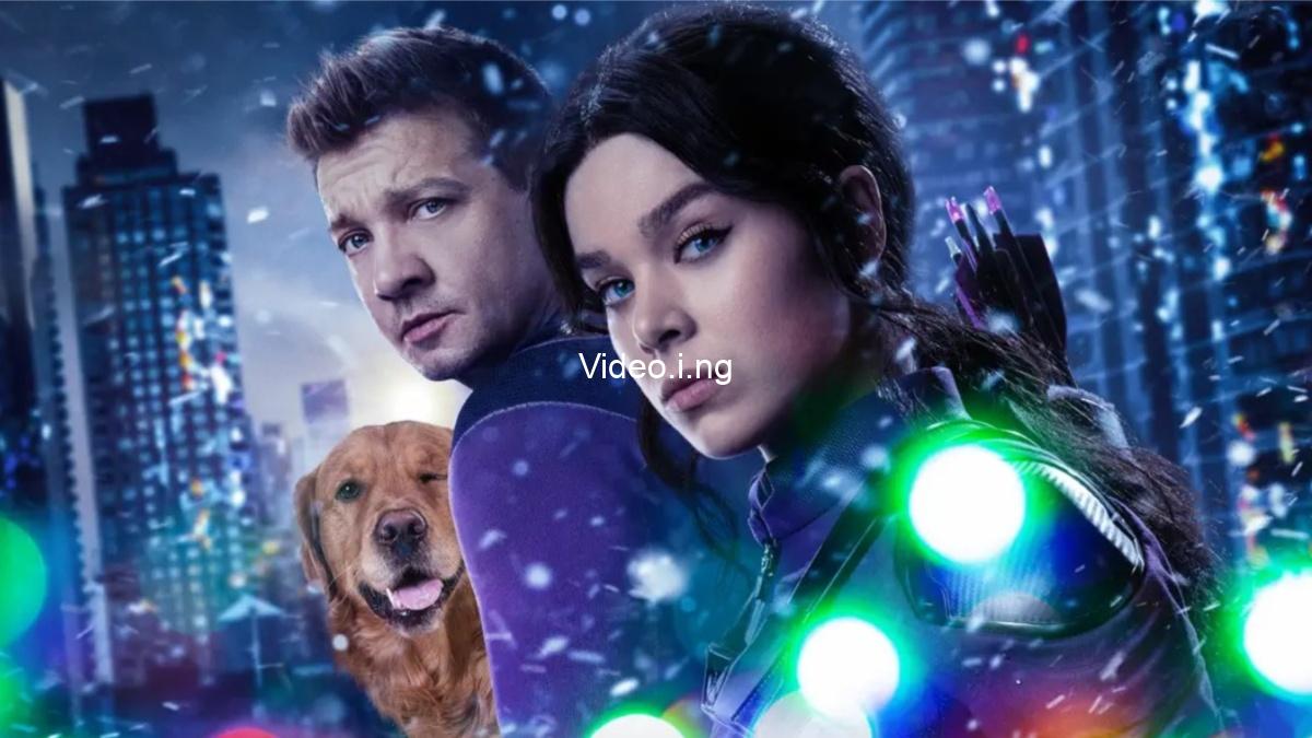 Hawkeye jeremy renner hailee steinfelds mcu futures get intriguing update