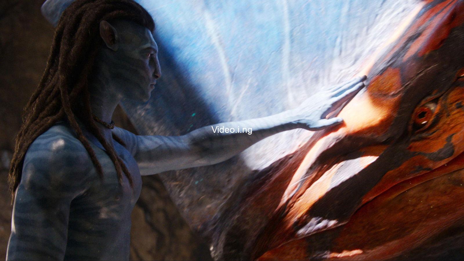 Its my movie james cameron has zero patience for critics questioning avatar fire and ash