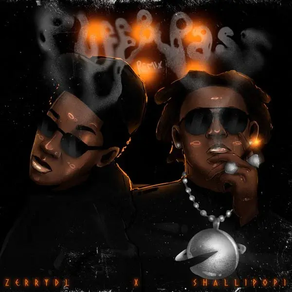 Puff pass remix lyrics by zerrydl feat shallipopi