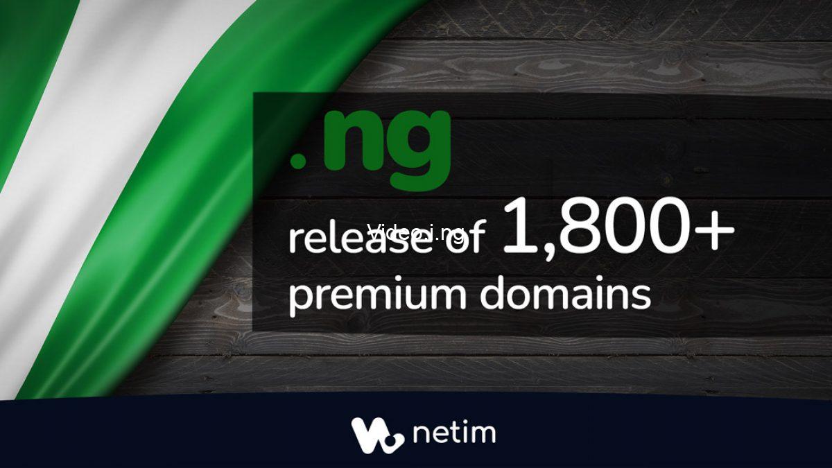 Reselling Domains in Nigeria A Summary Of how to Earn Fast from premiumdomains.ng