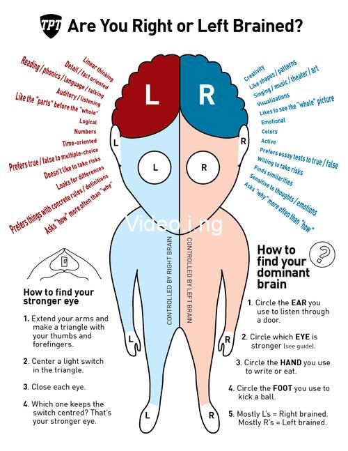 Right what does it mean to be left brained