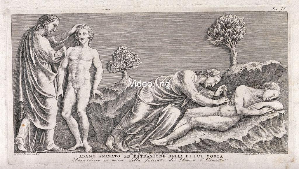 When a woman is how sidechicks took away your side rib by eve