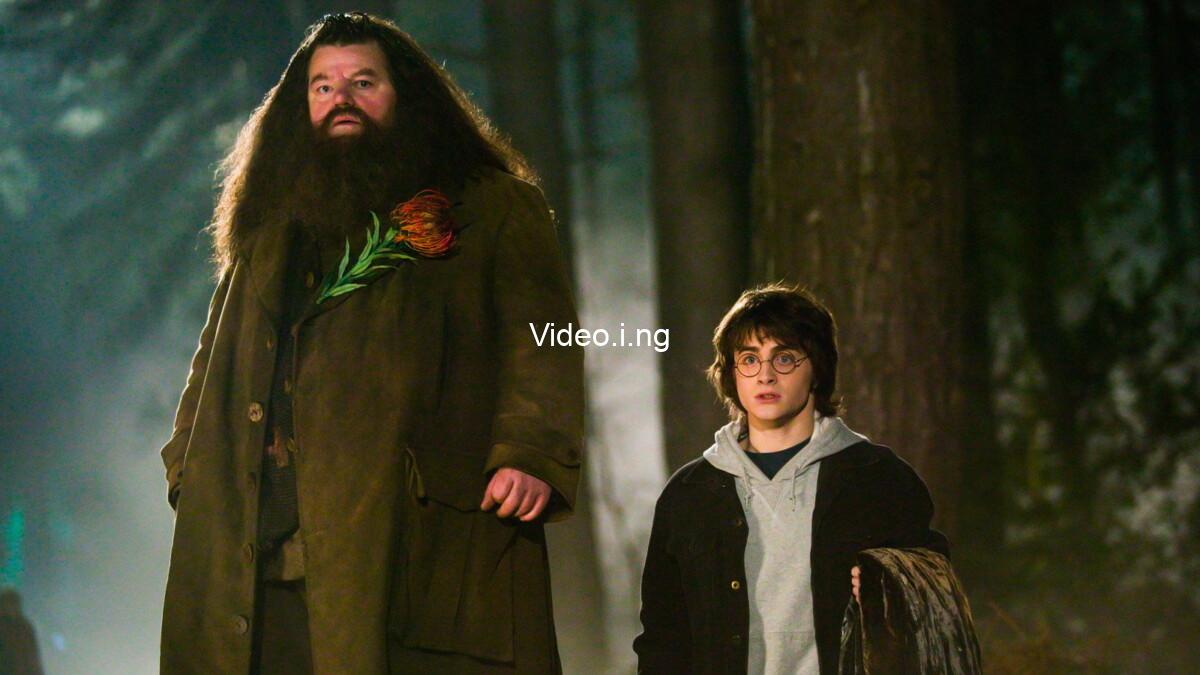 Did this harry potter actor use magic to land the role of hagrid the answer might shock you