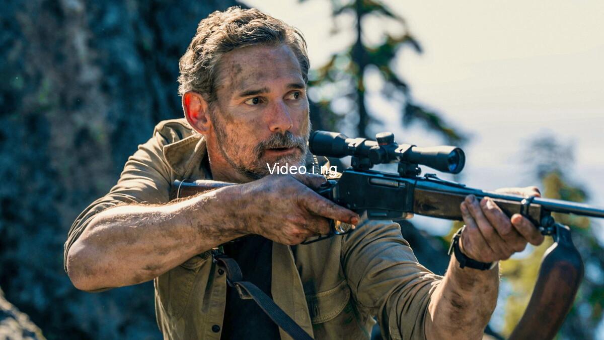 Untamed season 2 everything you need to know