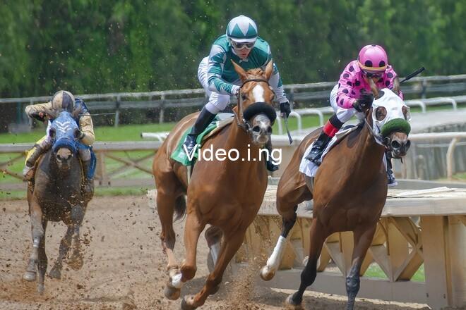 Participants in horse racing