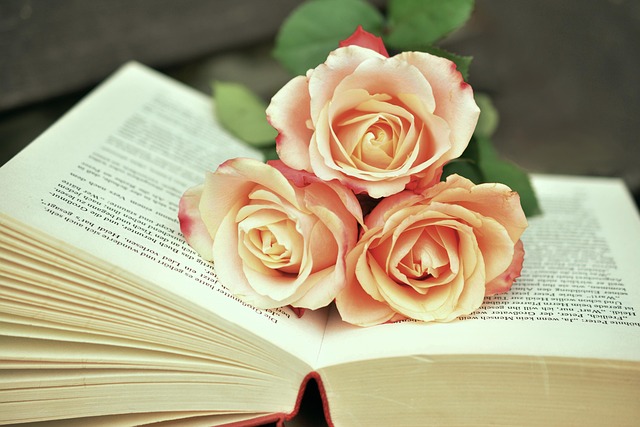 Congerdesign a book 1771073 640 1.jpg