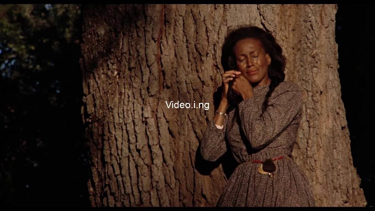 Daughters of the Dust to be Presented by Chaz Ebert as Part of the Gene Siskel Film Center’s Chicago Favorites Series