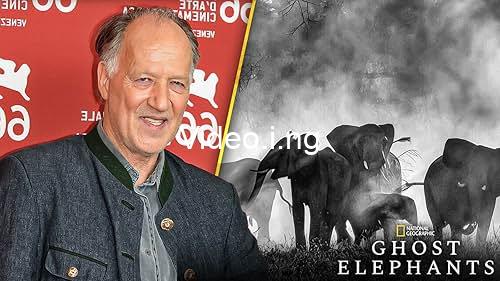 Director werner herzog talks ghost elephants grizzly man and bucking fastard interview