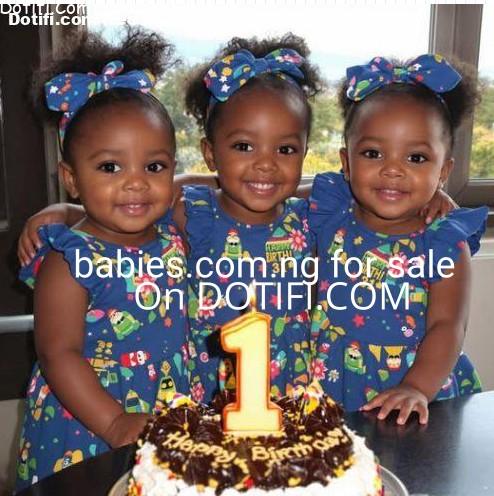Dotbabies.jpg