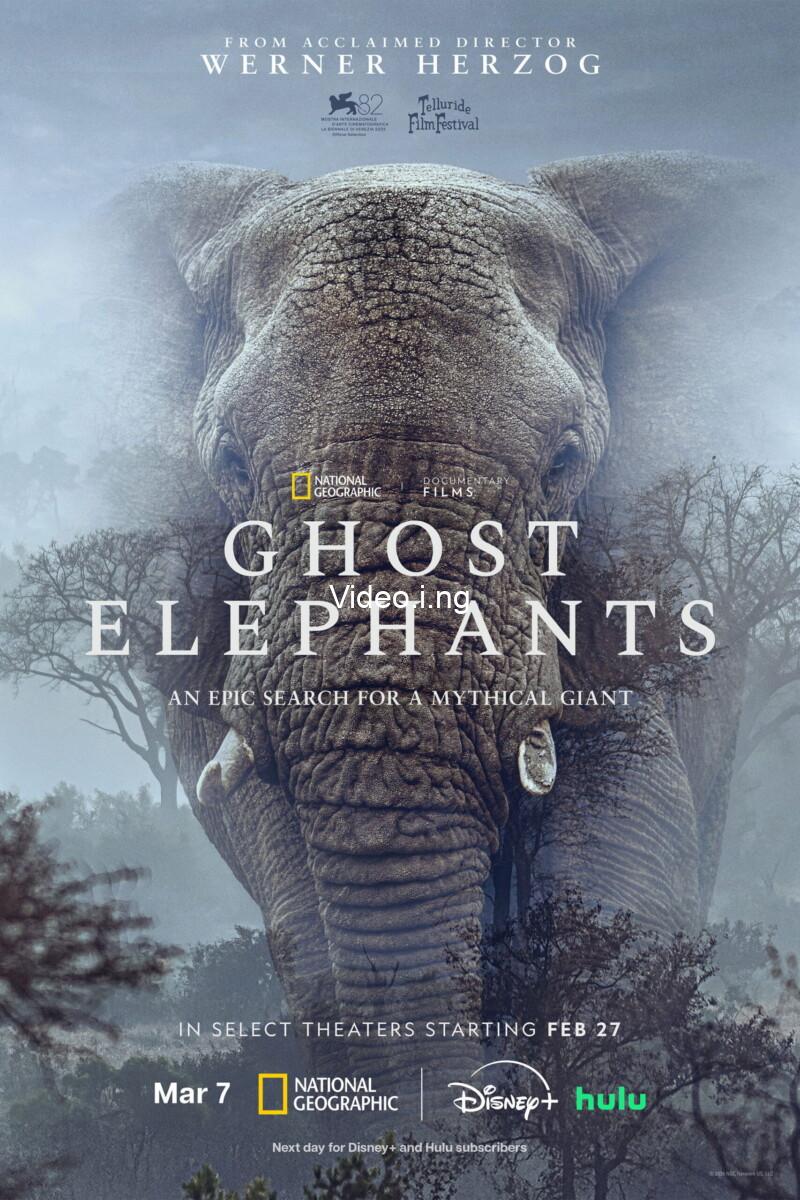 Ghost Elephants (2026)