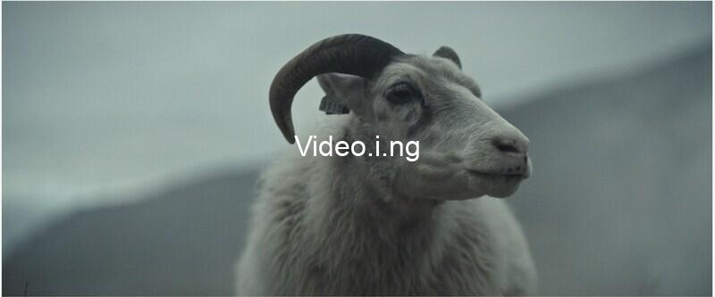 The Language of Silence: Valdimar Jóhannsson on Lamb