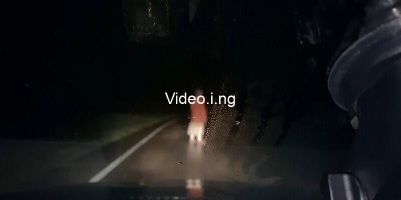 TIFF 2021: You Are Not My Mother, Zalava, DASHCAM