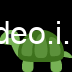 🐢