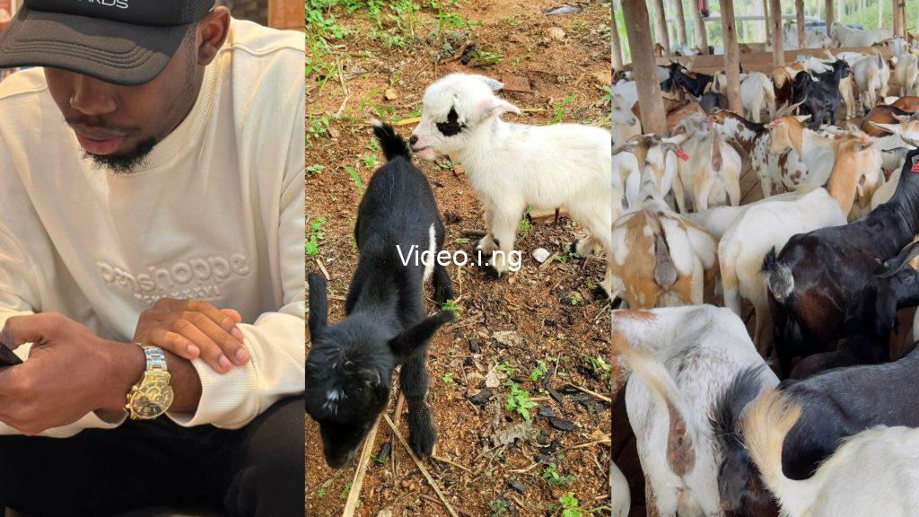 “She called me broke, so i bought two goats instead” — Man shares breakup story