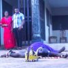 How The Humble Widow’s Son Became King After The Arrogant Evil King Tried To Kill Him