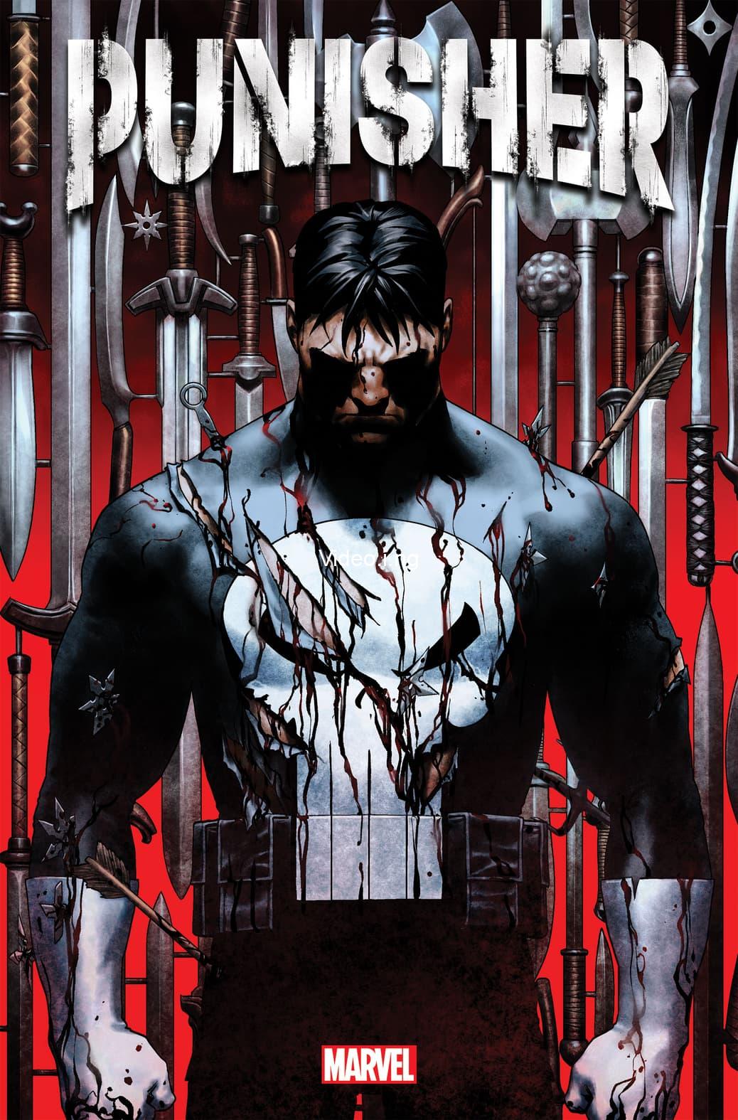 The Punisher’s MCU Future & Daredevil Spin-off TV Show Get Updates