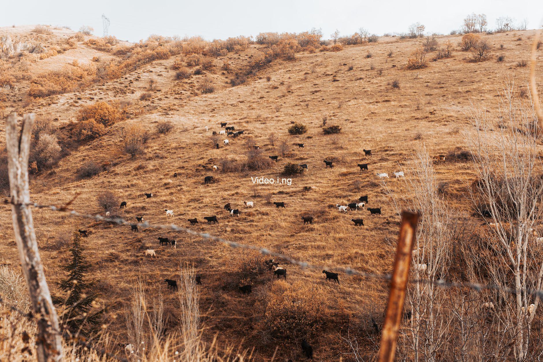 Dutton Ranch Ending Explained: How Carter’s Kidnapping Changes Everything for Season 2