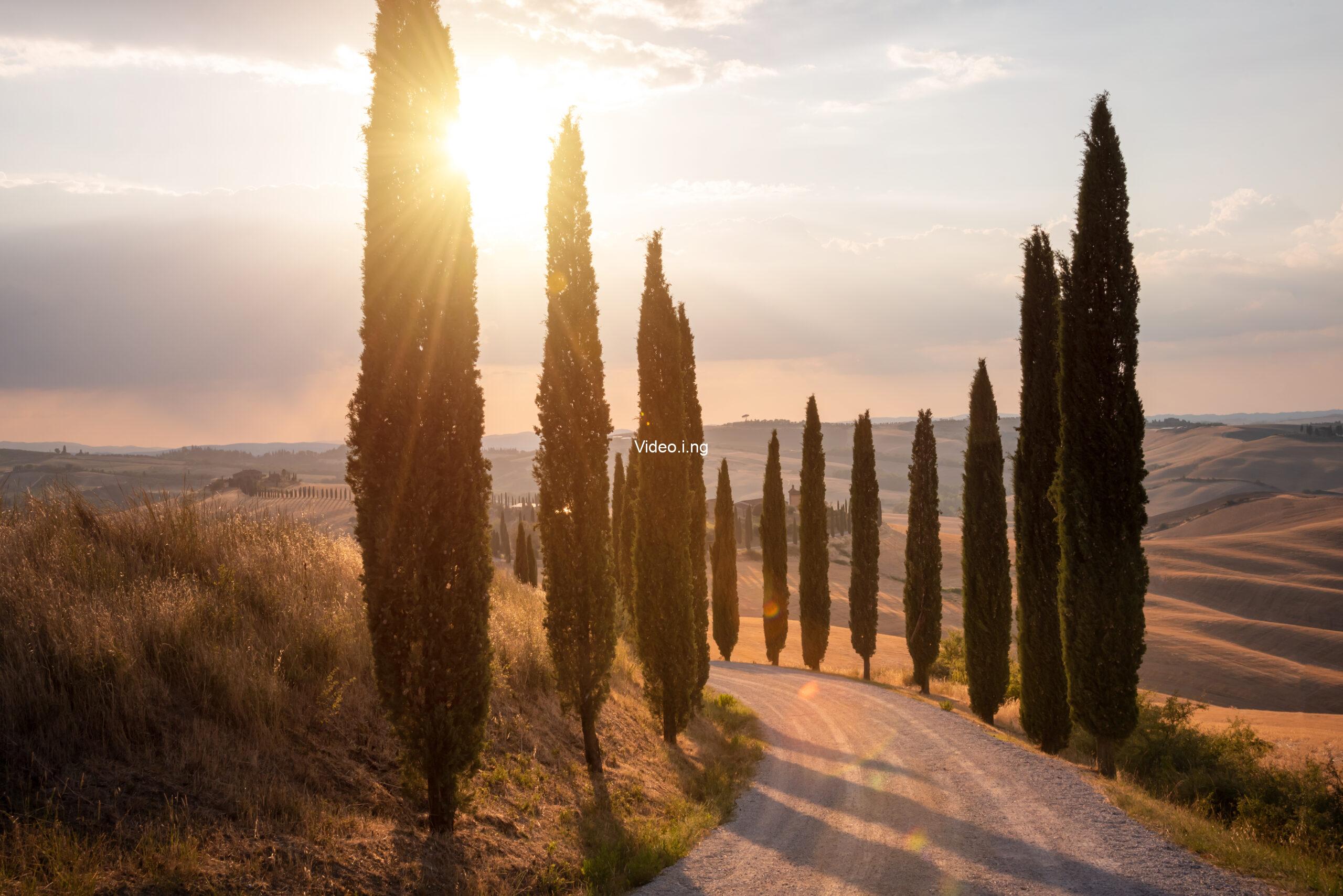 Stuart fails to save the universe episode 1 recap why barry kripke kills raj in the premiere