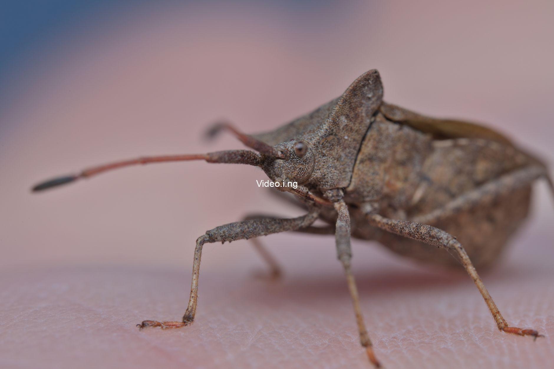 The Unloved, Part 151: Millennium Bugs