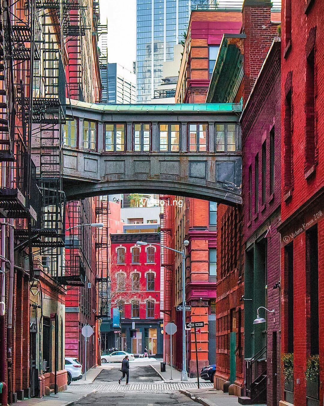Tribeca 2026 the narratives
