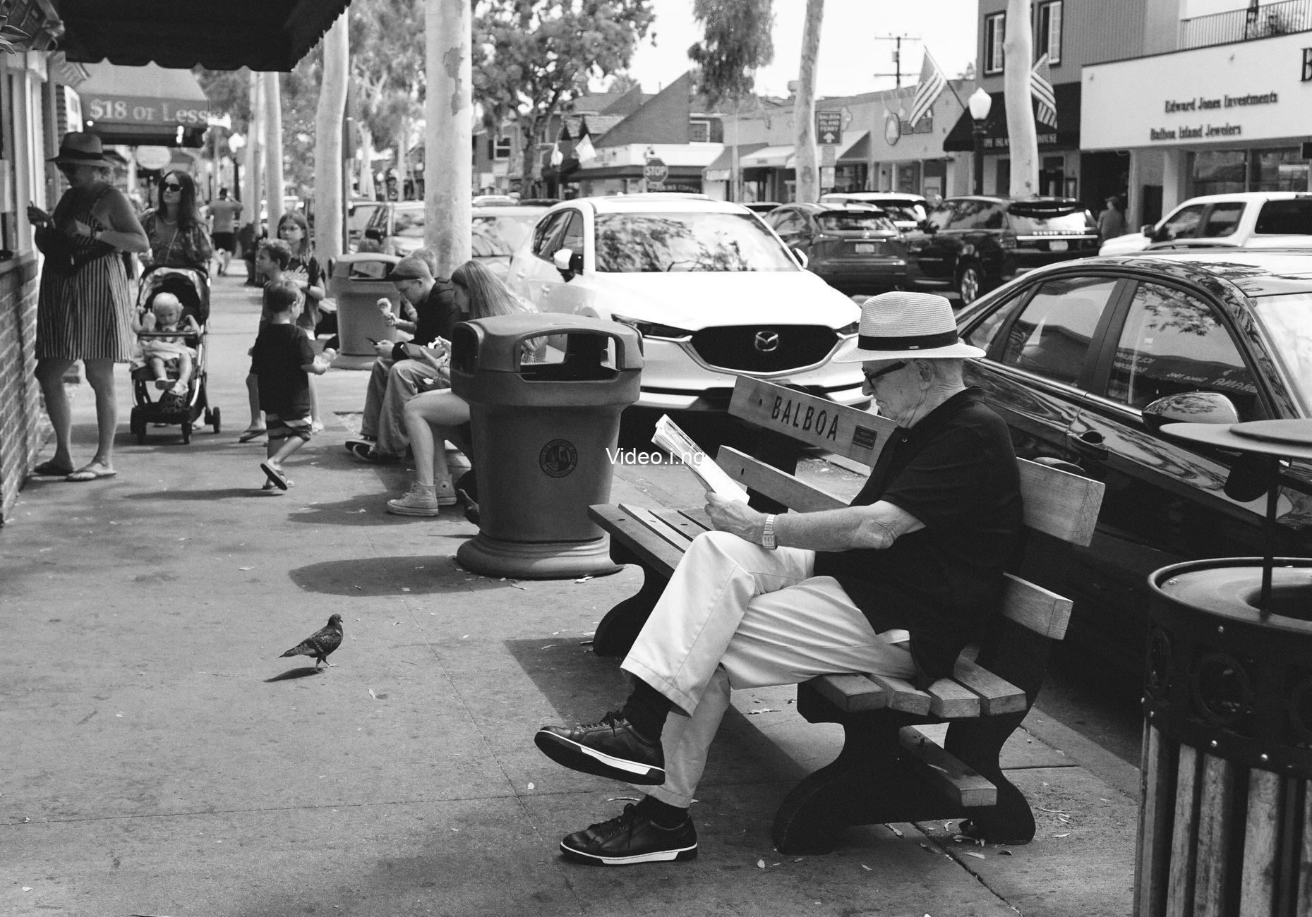 A Man of Letters: Kent Jones on “Late Fame”