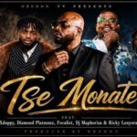 Diamond platnumz ft xduppy tse monate
