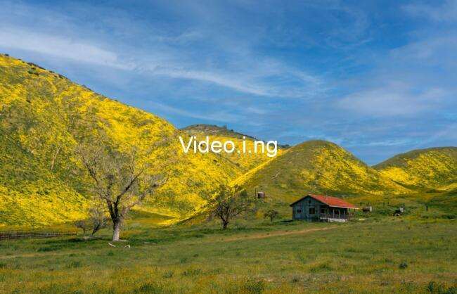 Netflix’s Little House on the Prairie Season 2 Begins Filming in a New Update