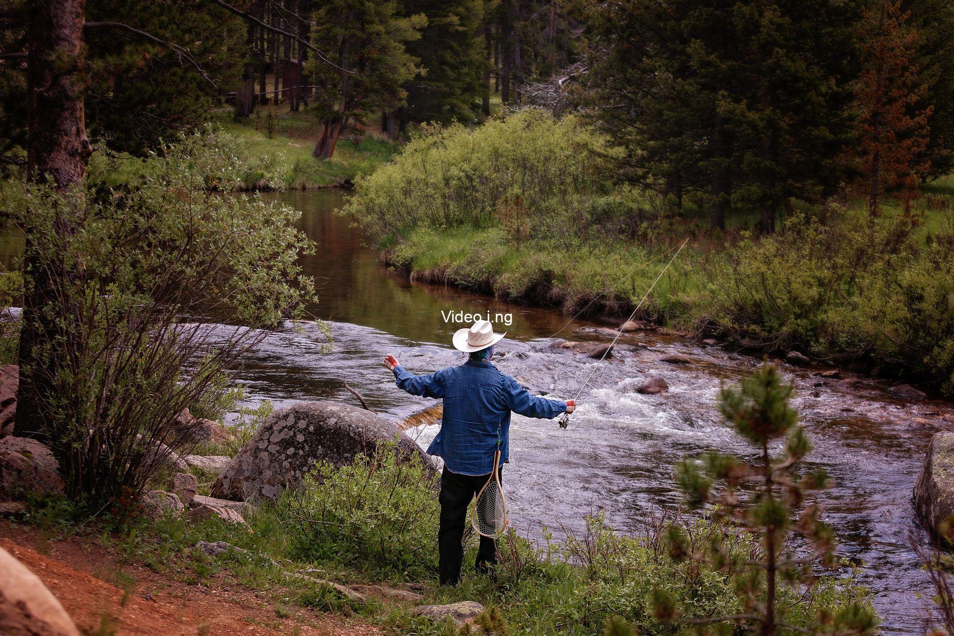 Taylor Sheridan Mafia Series That Failed to Replace Yellowstone Cracks Streaming Global Top
